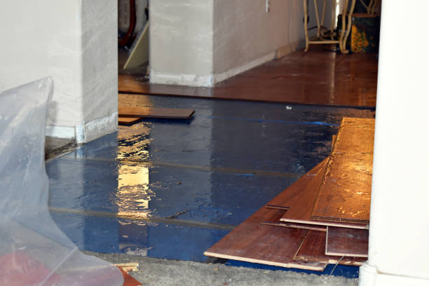 Professional Basement Flood Cleanup technician working in Scottville, MI